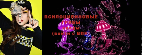спайс Алексин