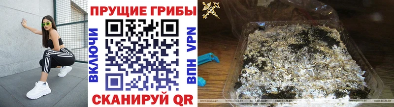 Галлюциногенные грибы мухоморы  купить наркотики сайты  Томск 