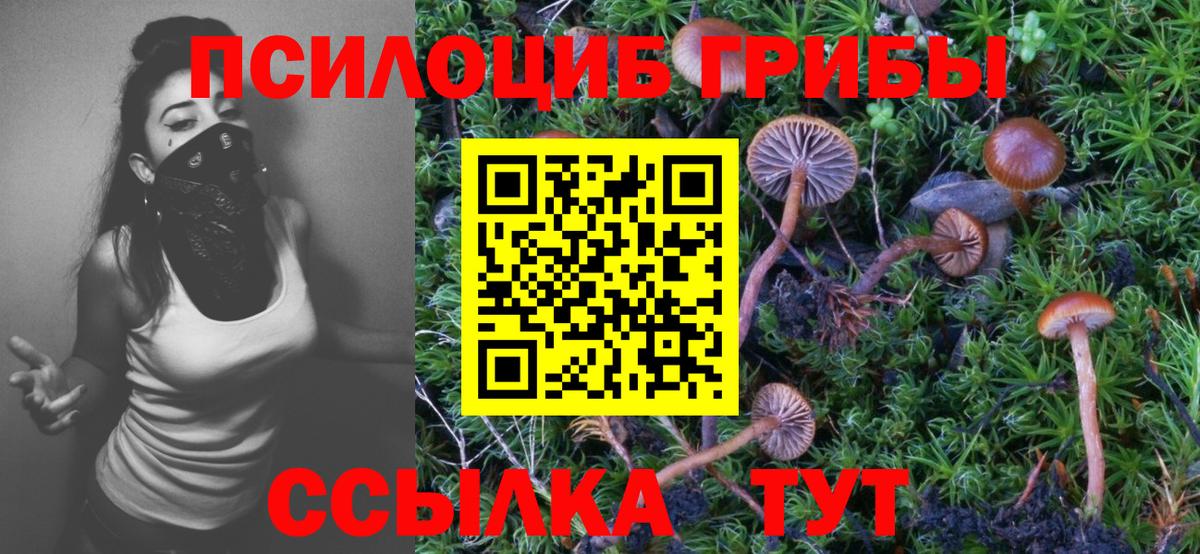 купить наркотики сайты  Псилоцибиновые грибы MAGIC MUSHROOMS  Томск  Вход с VPN  Псилоцибиновые грибы Cubensis 
